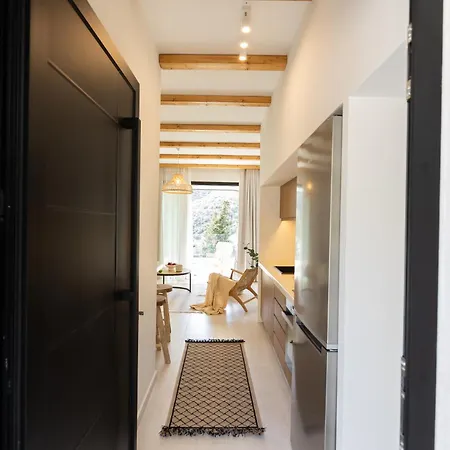 アパート Aella Exclusive Residences Lefkada ミクロス・ギアロス
